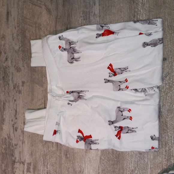 Gilly Hicks Hollister pants - Picture 4 of 8